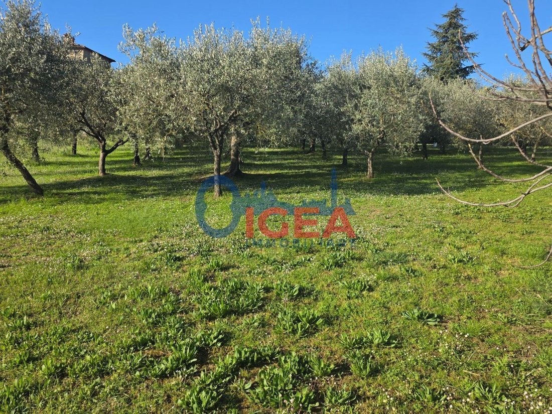 Country House in Torrita di Siena, Tuscany, Italy 5 - 17847061