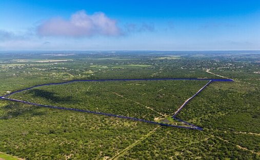 Farm Ranch in Castroville, Texas, United States 1