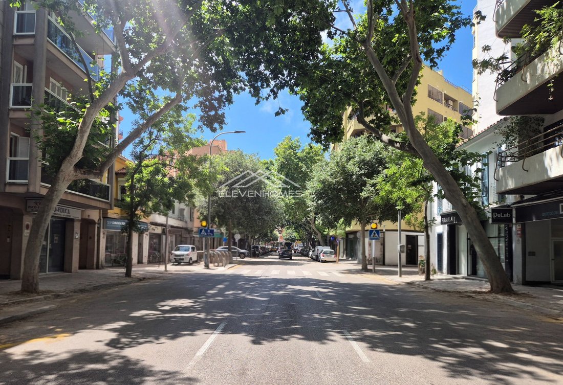 Land in Palma, Balearic Islands, Spain 1 - 18121540
