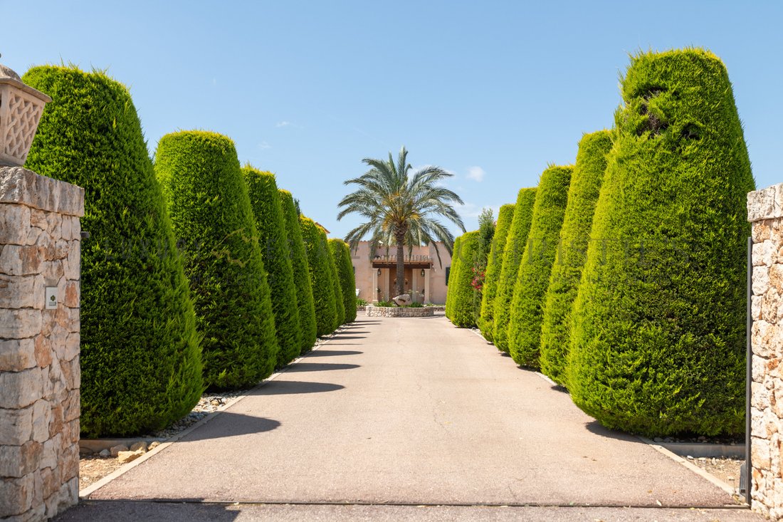Finca in Porreres, Balearic Islands, Spain 3 - 18119656