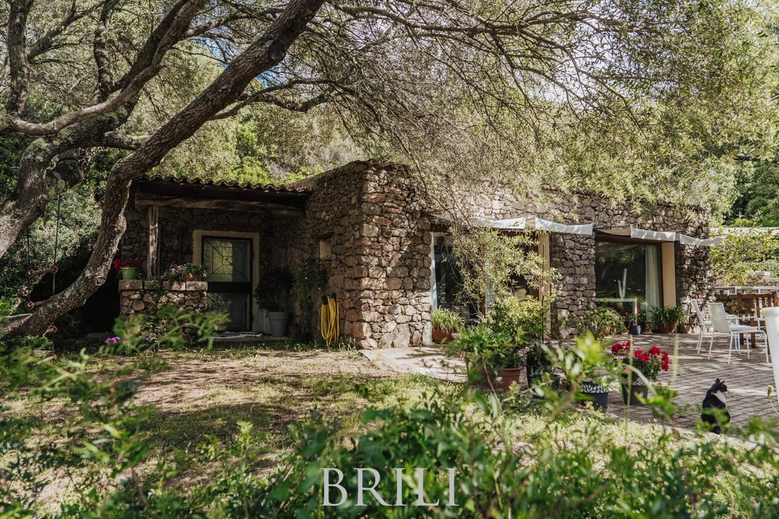 Farm Ranch in Aglientu, Sardinia, Italy 5 - 17703011