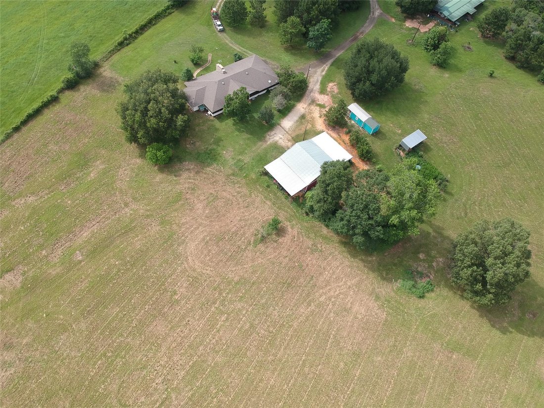 Woodville, Texas, United States 4 - 17207171