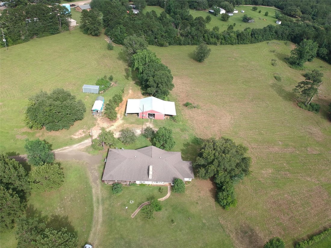 Woodville, Texas, United States 3 - 17207171