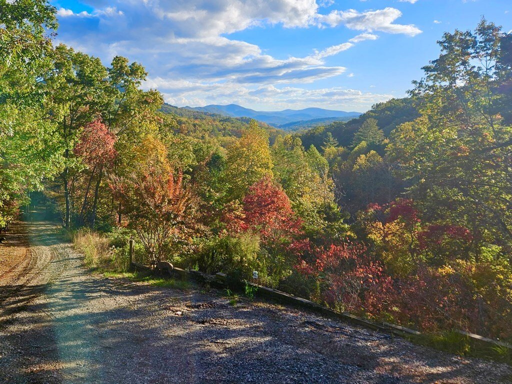Suches, Georgia, United States 3 - 18121329