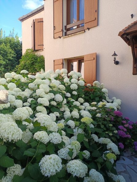 House in Toussus-le-Noble, Ile-de-France, France 4 - 18119387