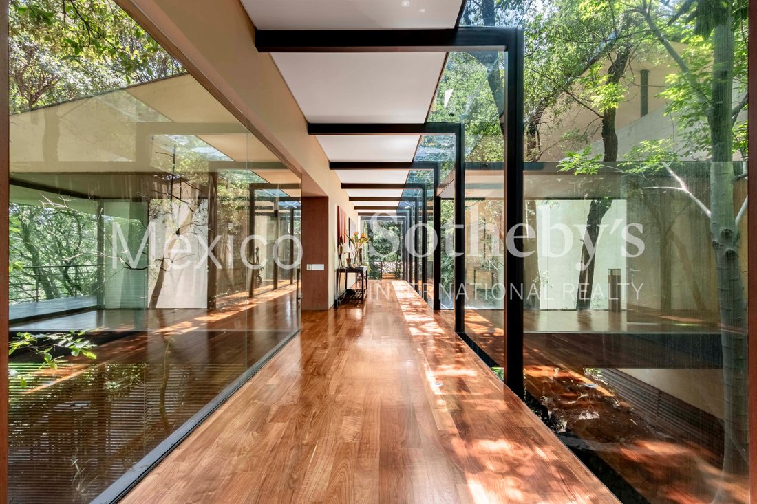 House in Mexico City, Mexico 5 - 18110900