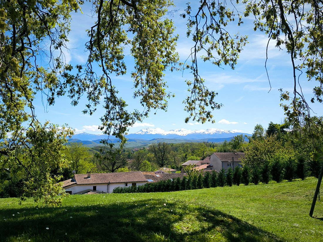 Villa in Jeu du mail-Lestang-Saint Jean, Pamiers, France 4 - 17796684