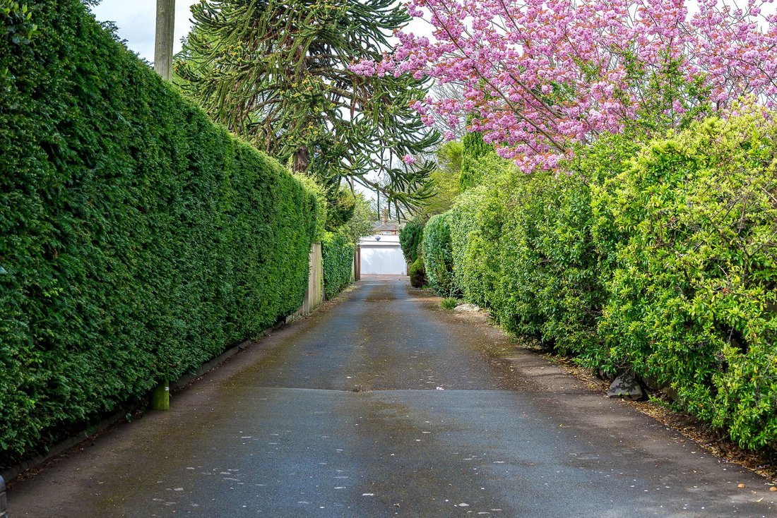 Bungalow in Calderstones Park, Liverpool, England 3 - 18124841