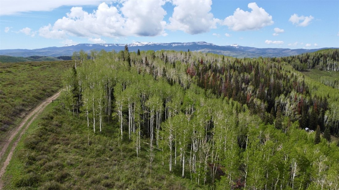 Land in Oak Creek, Colorado, United States 5 - 18124468
