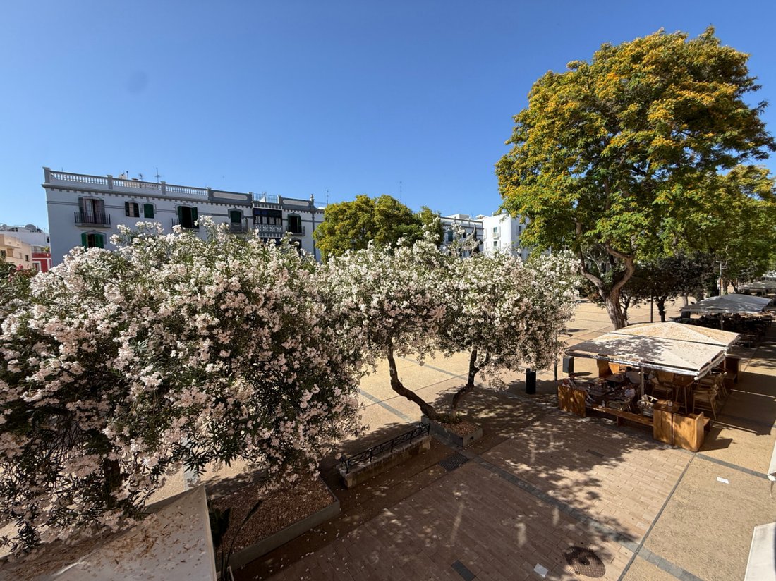 Apartment in Ibiza Town, Balearic Islands, Spain 1 - 18119882