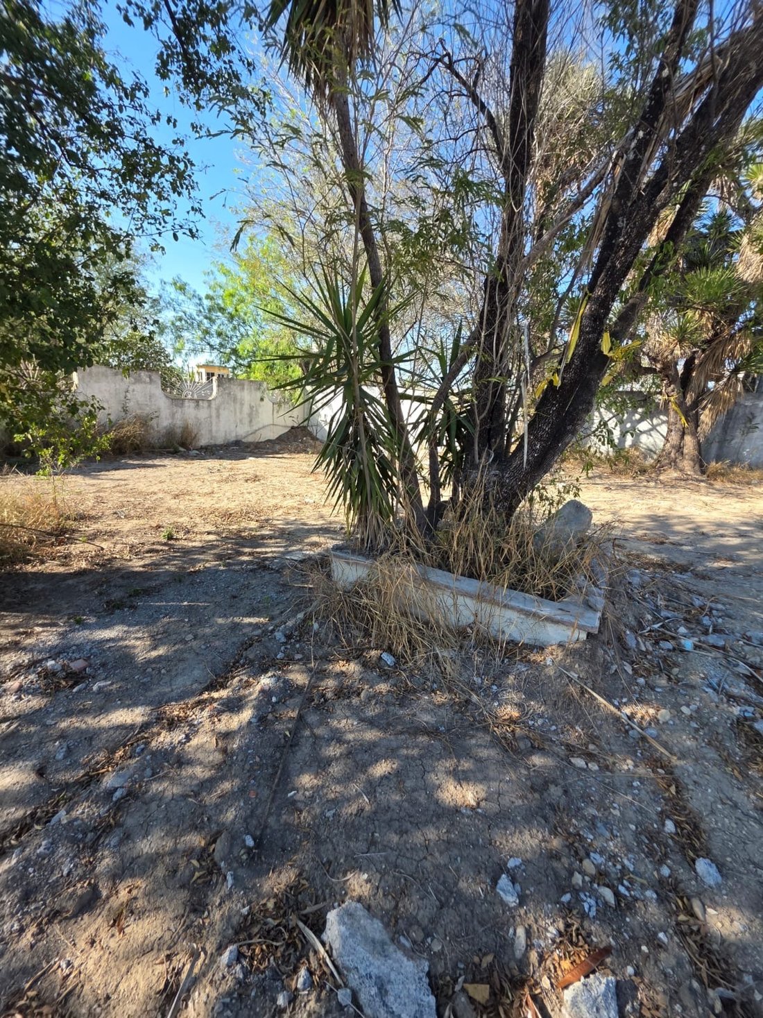 Land in Ciudad Apodaca, Nuevo Leon, Mexico 3 - 18119042