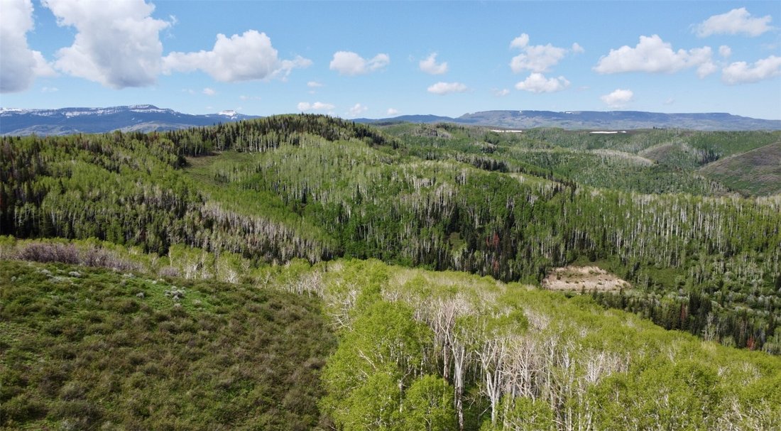 Land in Oak Creek, Colorado, United States 2 - 18124468
