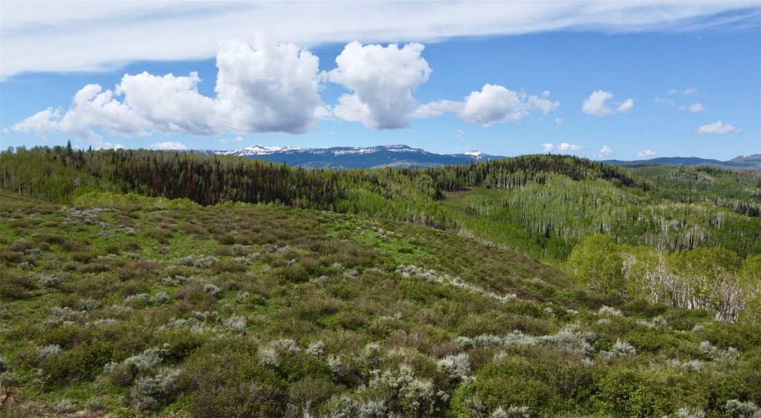 Land in Oak Creek, Colorado, United States 1 - 18124468