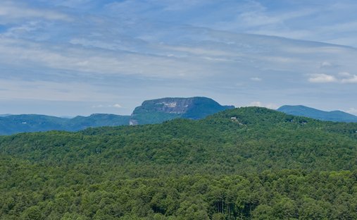 Terreno a Alexander, Carolina del Nord, Stati Uniti 1