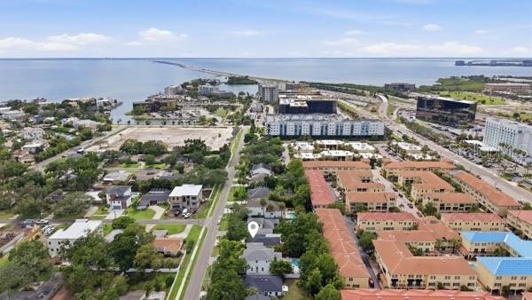 House in Tampa, Florida, United States 4 - 18118861