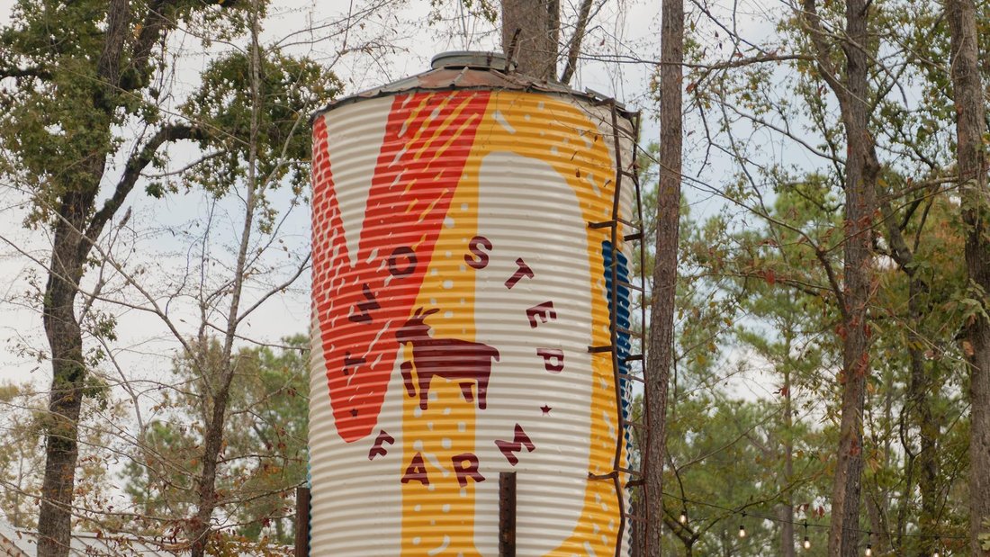 House in Montgomery, Texas, United States 4 - 18122491