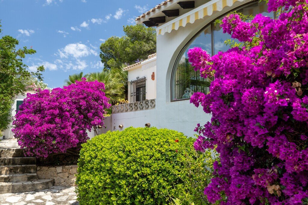 Villa in Denia, Valencian Community, Spain 1 - 18123571