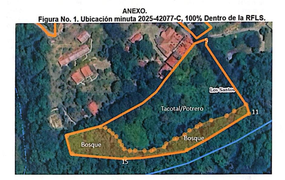 House in San Gerardo de Dota, San José Province, Costa Rica 1 - 18121247