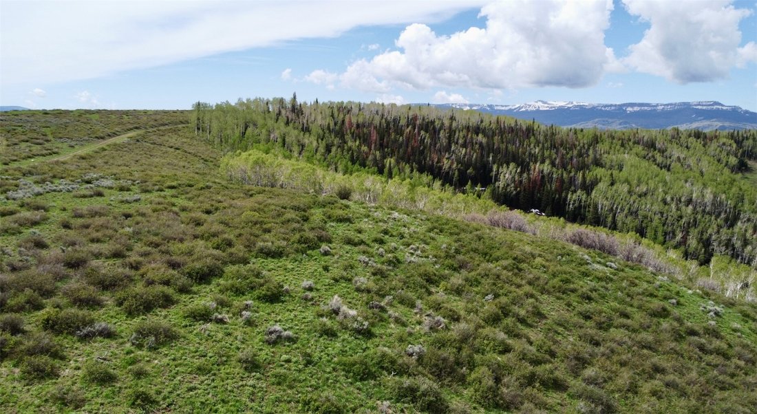Land in Oak Creek, Colorado, United States 3 - 18124468