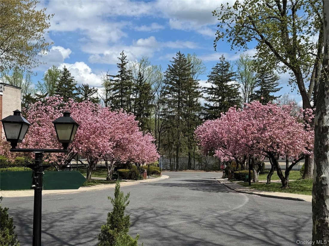 Co Op in Eastchester, New York, United States 2 - 18070173