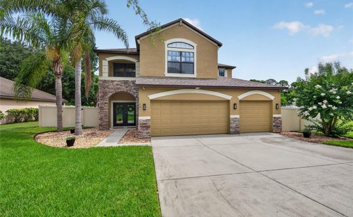 House in Orange City, Florida, United States 1