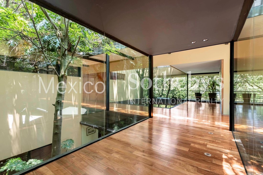 House in Mexico City, Mexico 3 - 18110900