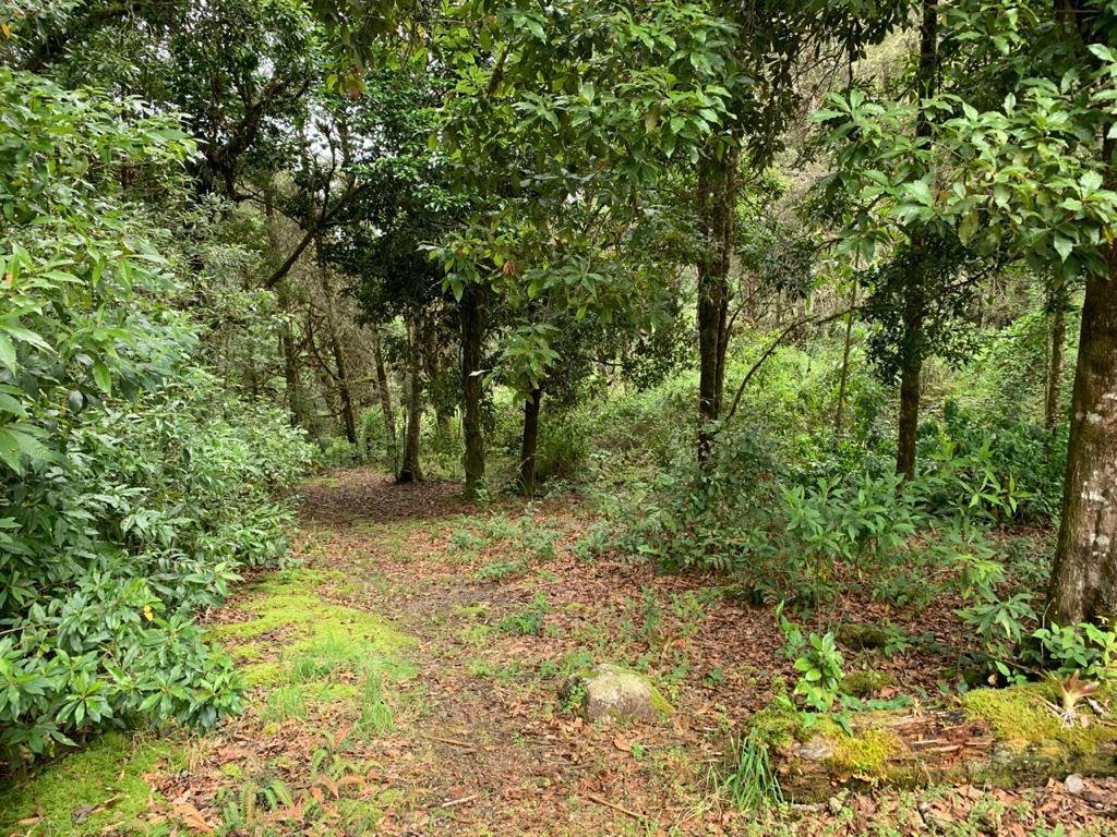 House in San Gerardo de Dota, San José Province, Costa Rica 5 - 18121247