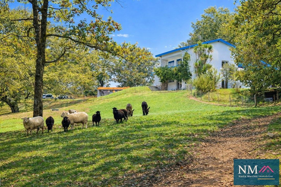 House in Urcuit, Nouvelle-Aquitaine, France 1 - 18122139