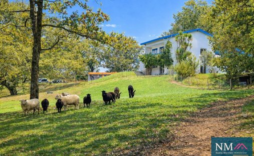 House in Urcuit, Nouvelle-Aquitaine, France 1