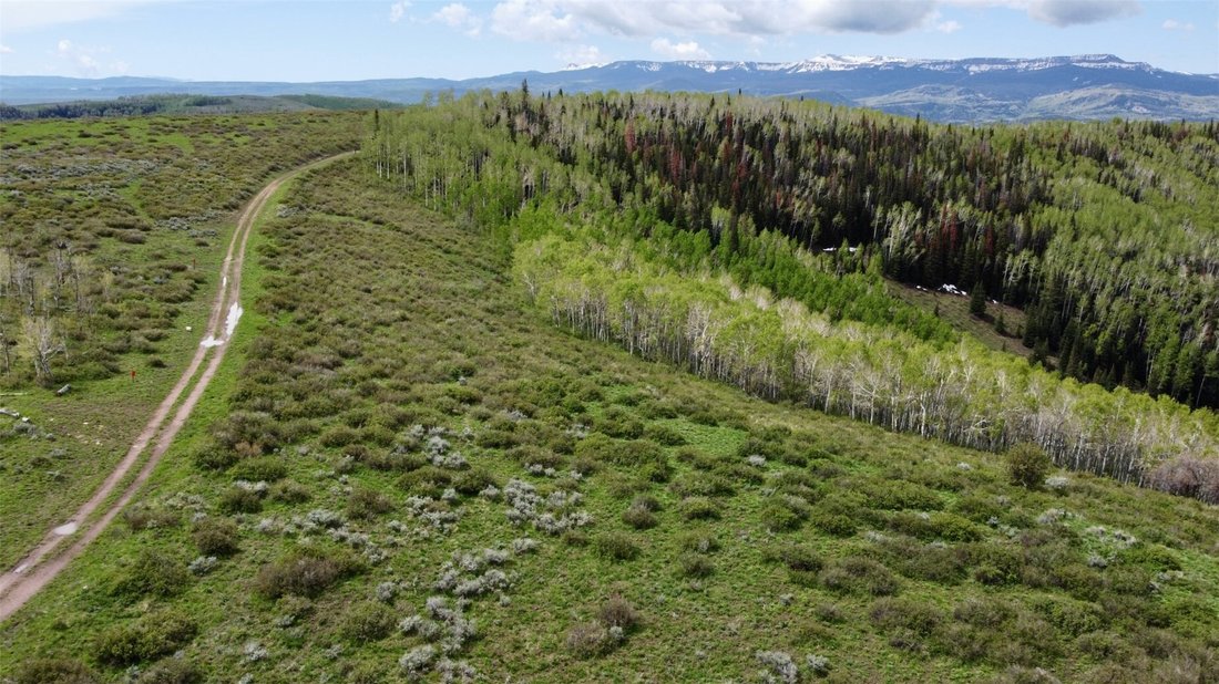 Land in Oak Creek, Colorado, United States 4 - 18124468