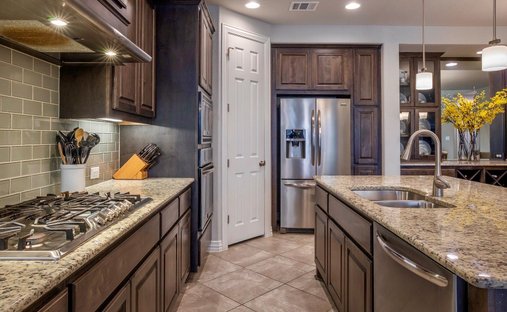 House in Leander, Texas, United States 1
