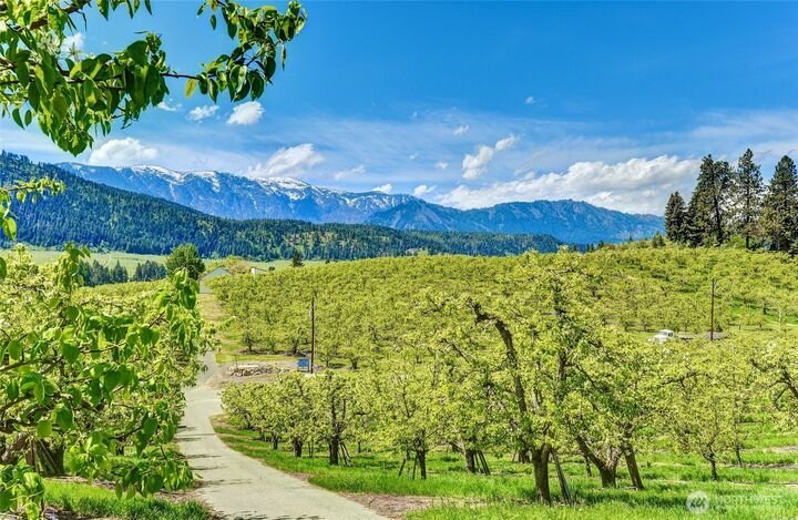 Land in Peshastin, Washington, United States 1 - 18124833