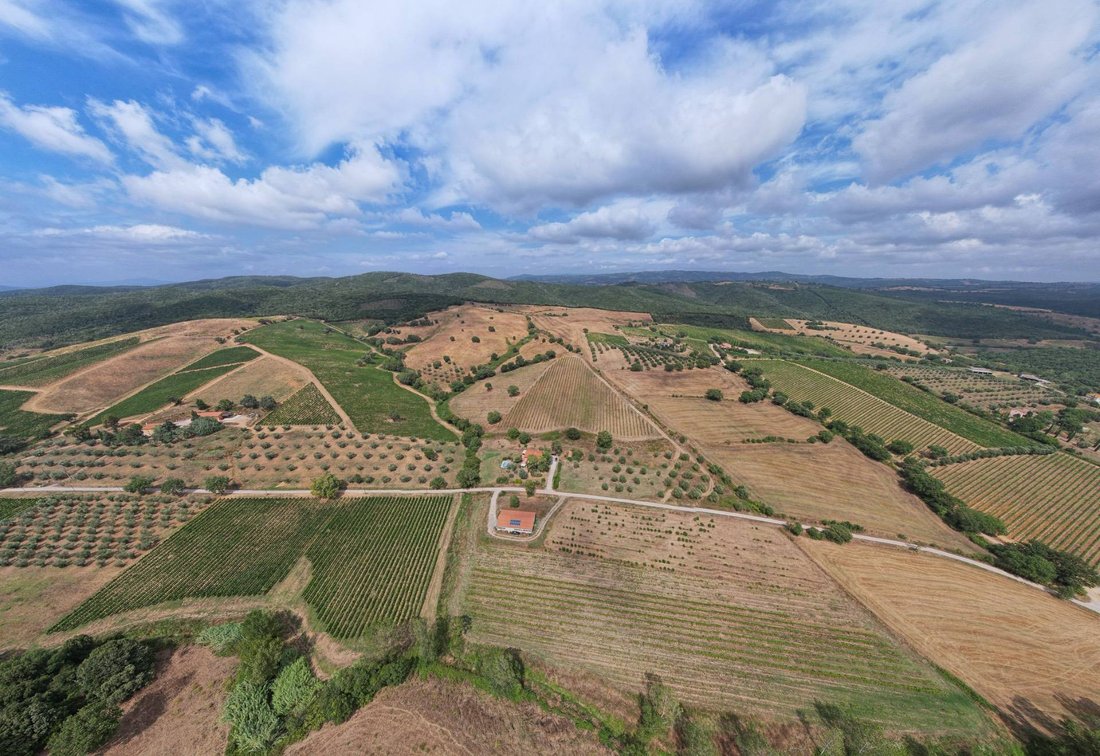 House in Magliano in Toscana, Tuscany, Italy 4 - 18124393