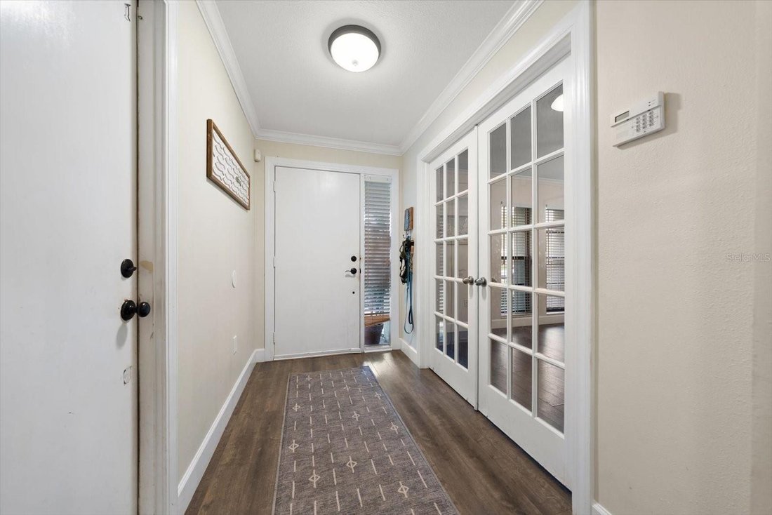 House in Palm Harbor, Florida, United States 3 - 18123628