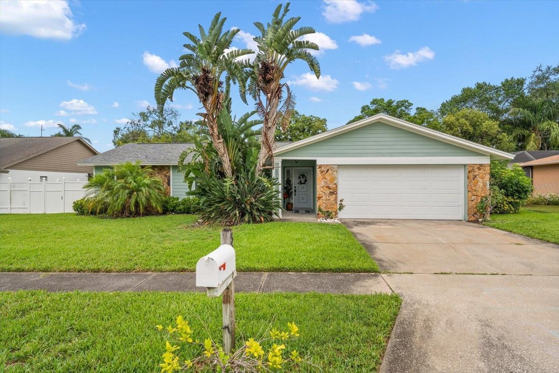 House in Palm Harbor, Florida, United States 1 - 18123628
