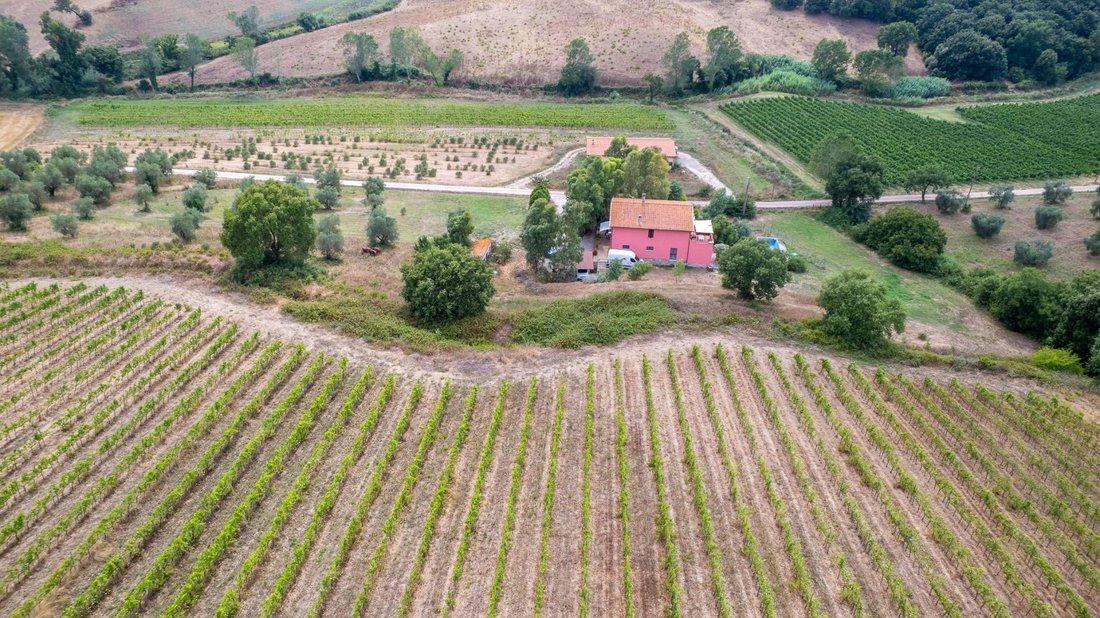 House in Magliano in Toscana, Tuscany, Italy 5 - 18124393