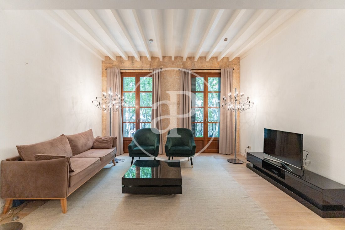 Apartment in Palma, Balearic Islands, Spain 5 - 15158660