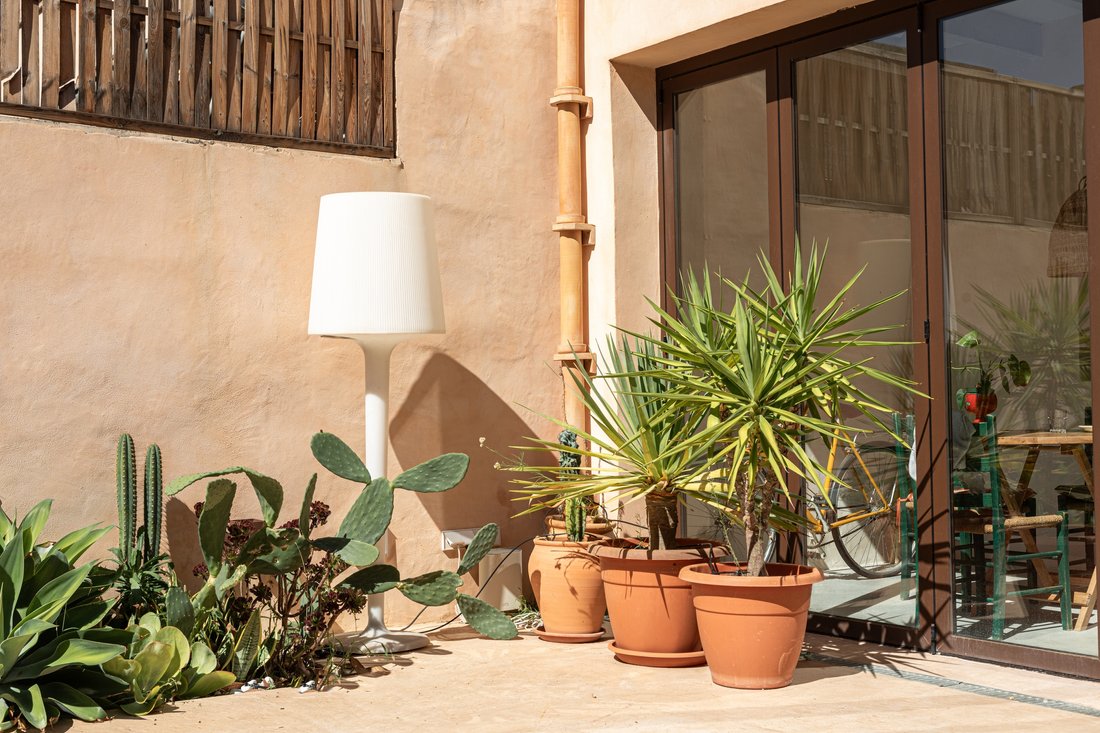 Villa in Santa Maria del Cami, Balearic Islands, Spain 3 - 18125579