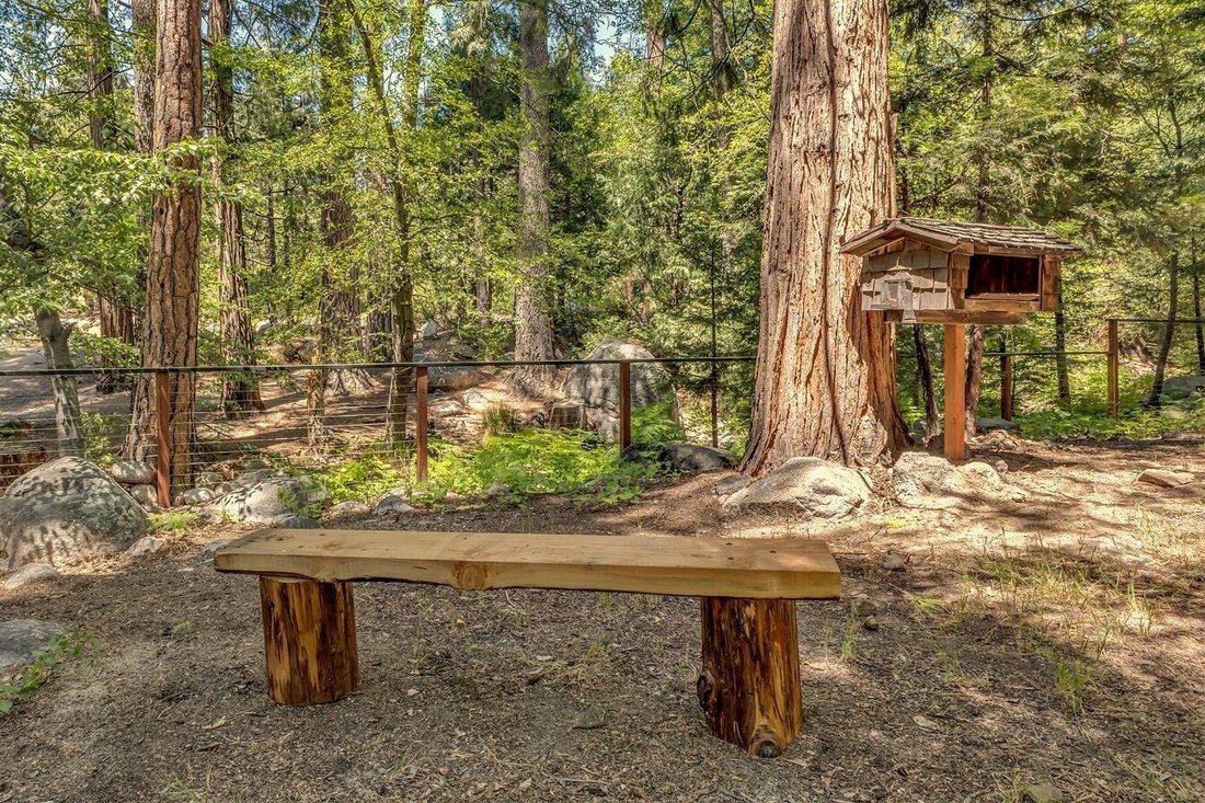 House in Idyllwild-Pine Cove, California, United States 3 - 18125117