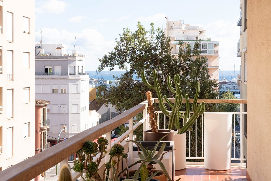 Apartment in Palma, Balearic Islands, Spain 1 - 18125474