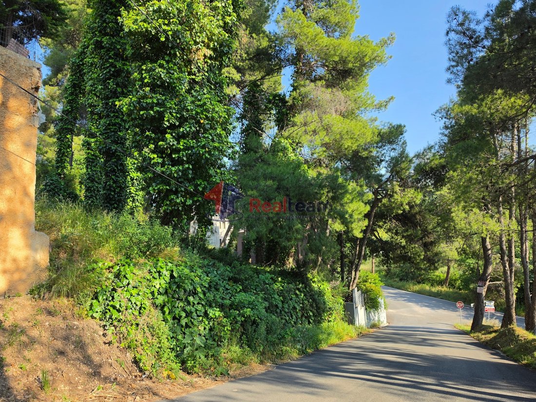 Land in Dionysos, Attica, Greece 5 - 18063230