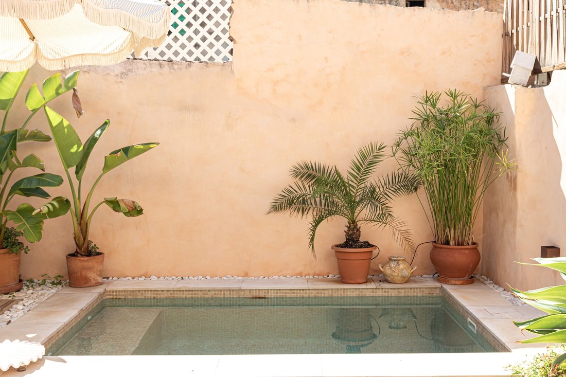 Villa in Santa Maria del Cami, Balearic Islands, Spain 5 - 18125579