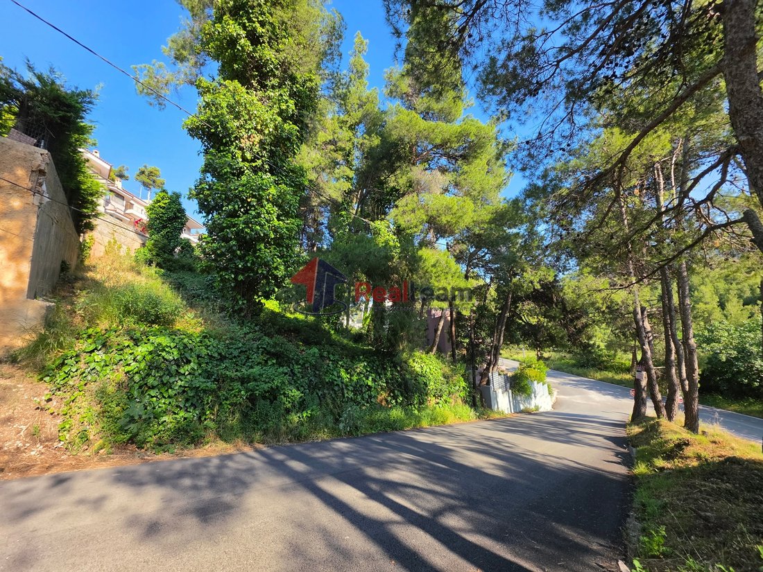 Land in Dionysos, Attica, Greece 1 - 18063230