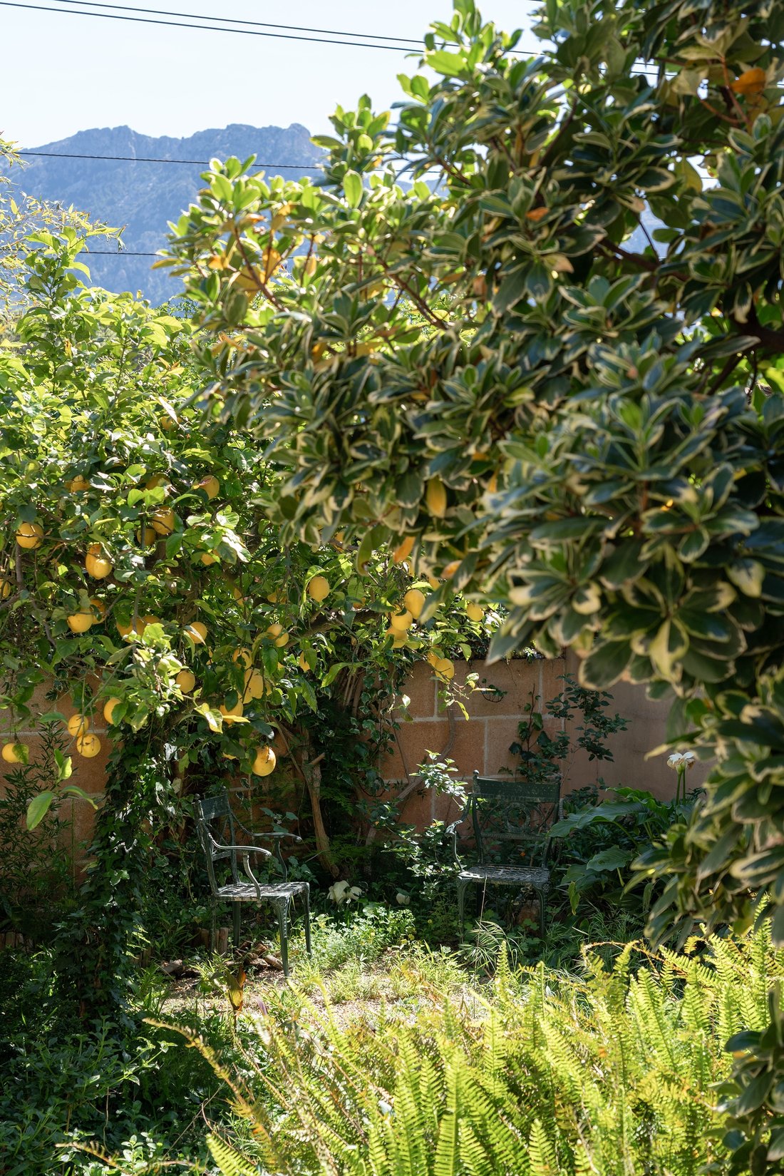 Villa a Sóller, Isole Baleari, Spagna 4 - 18125827