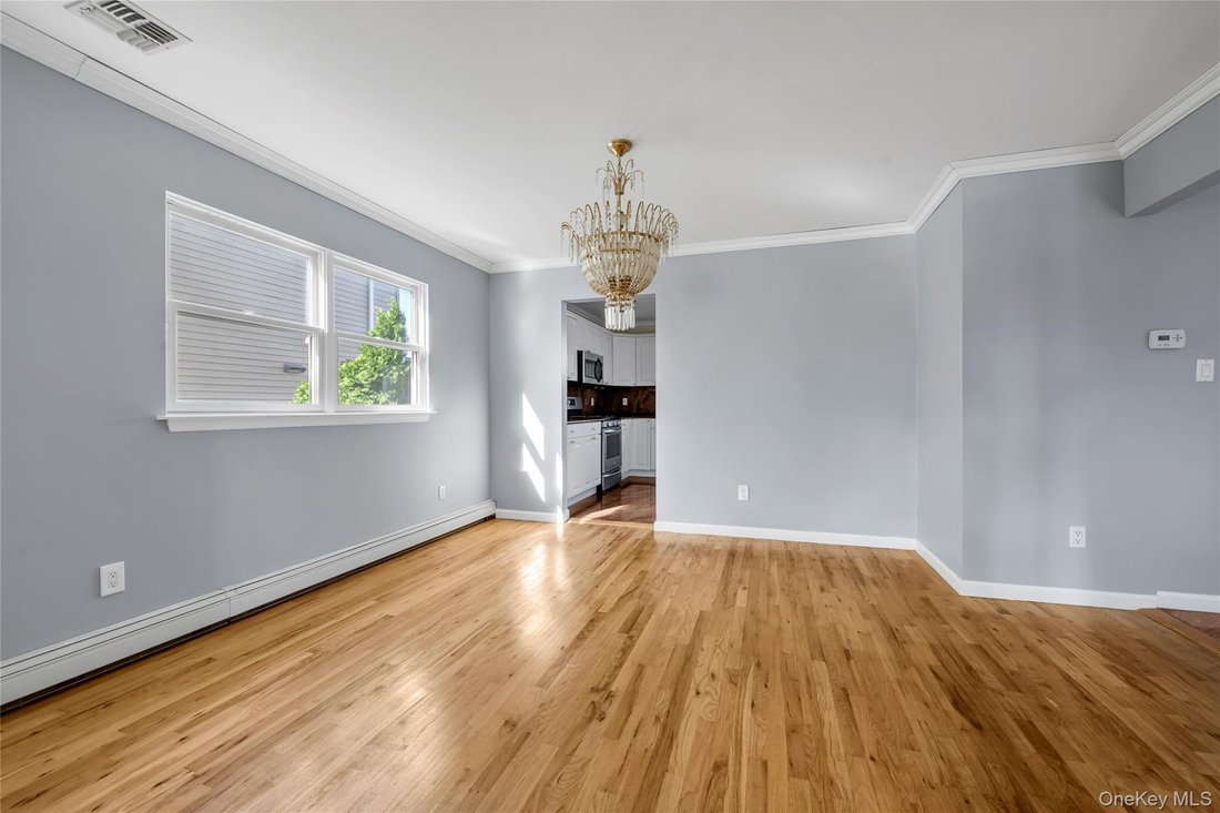 House in New Hyde Park, New York, United States 5 - 17924033