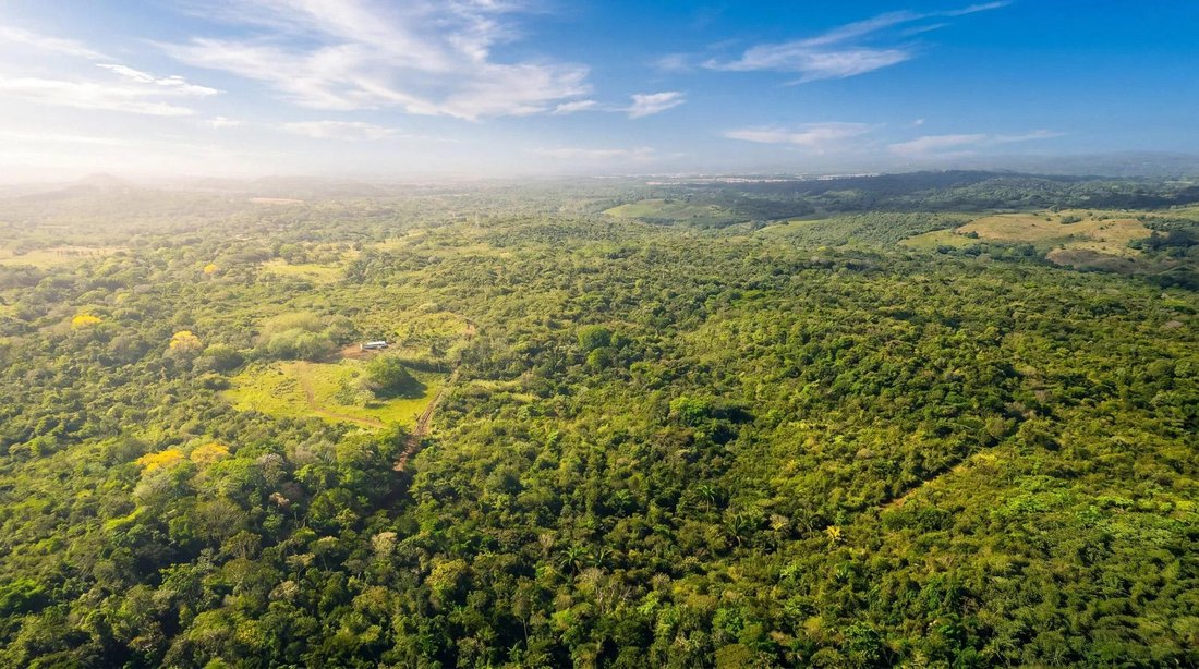 Land in Arraiján, Panama, Panama 5 - 18125623