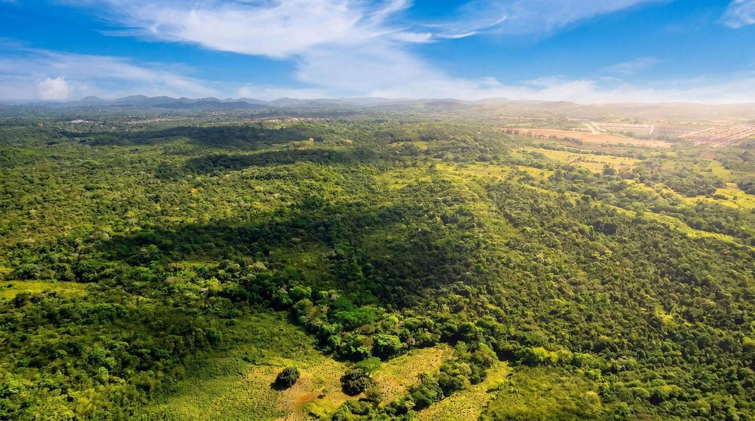 Land in Arraiján, Panama, Panama 1 - 18125623