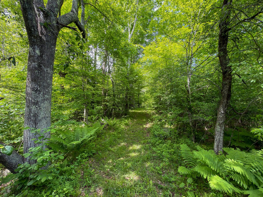 Land in Sharon, Connecticut, United States 3 - 18125699