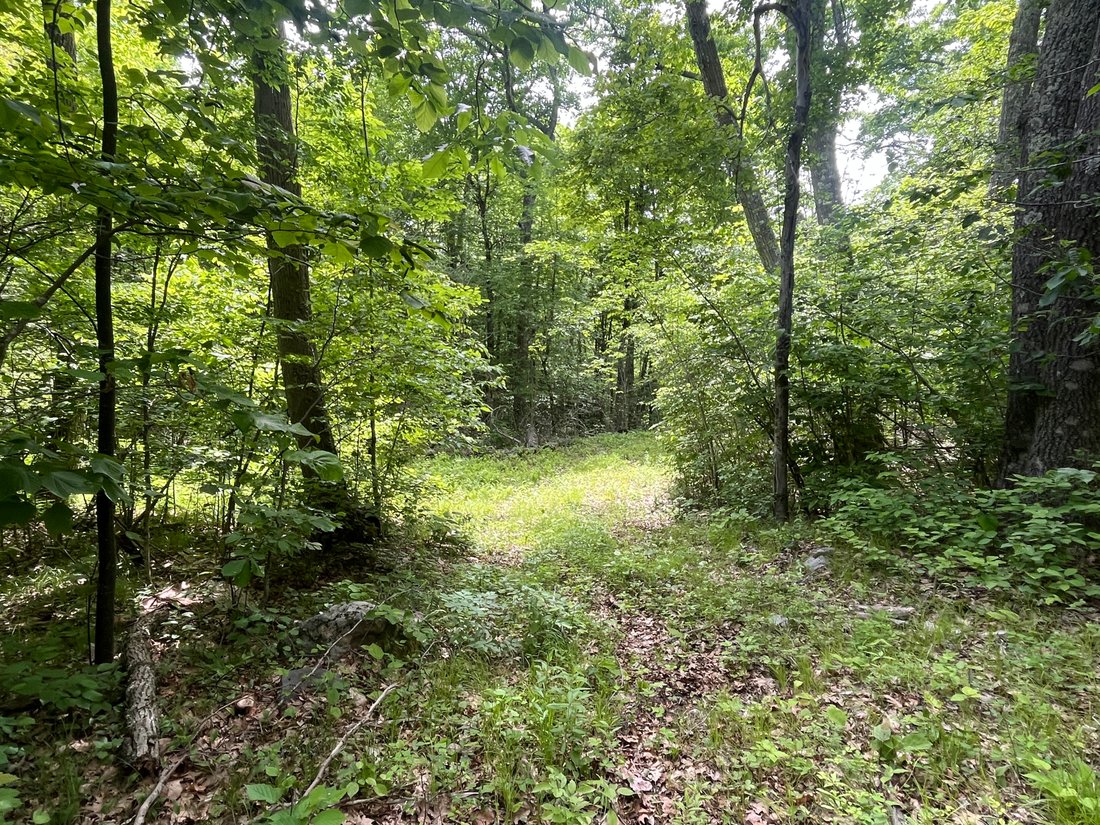 Land in Sharon, Connecticut, United States 4 - 18125699