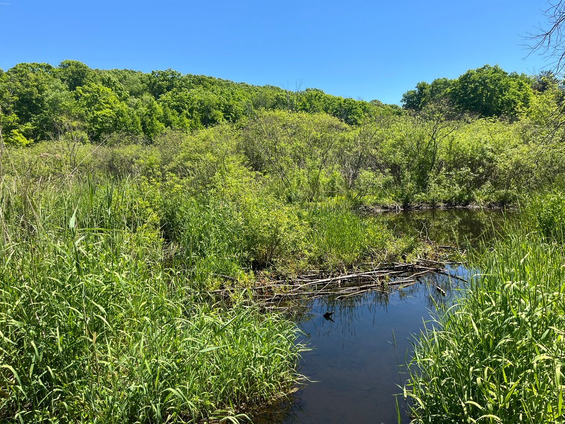 Land in Sharon, Connecticut, United States 2 - 18125699